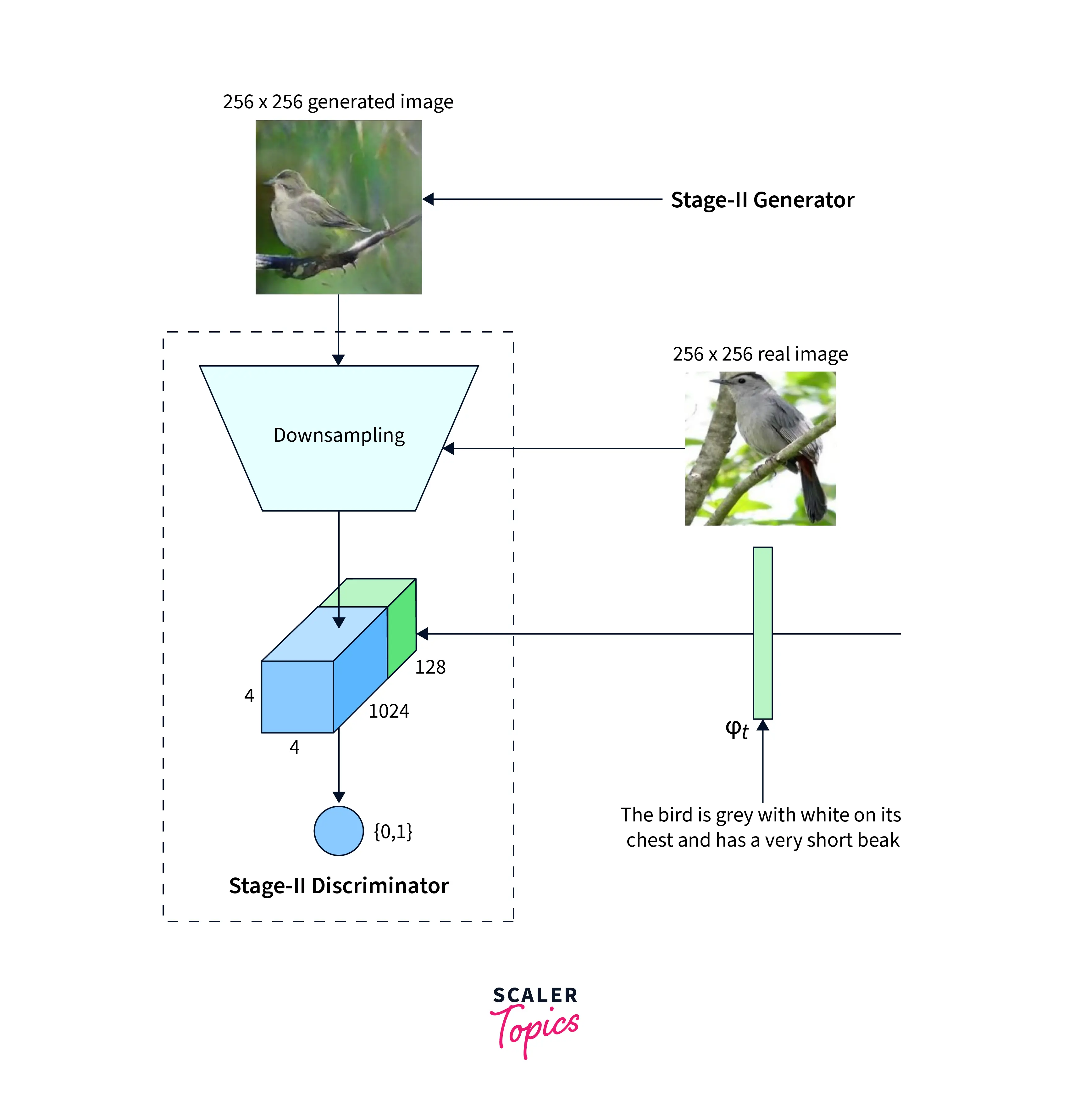 Stage-2 Discriminator