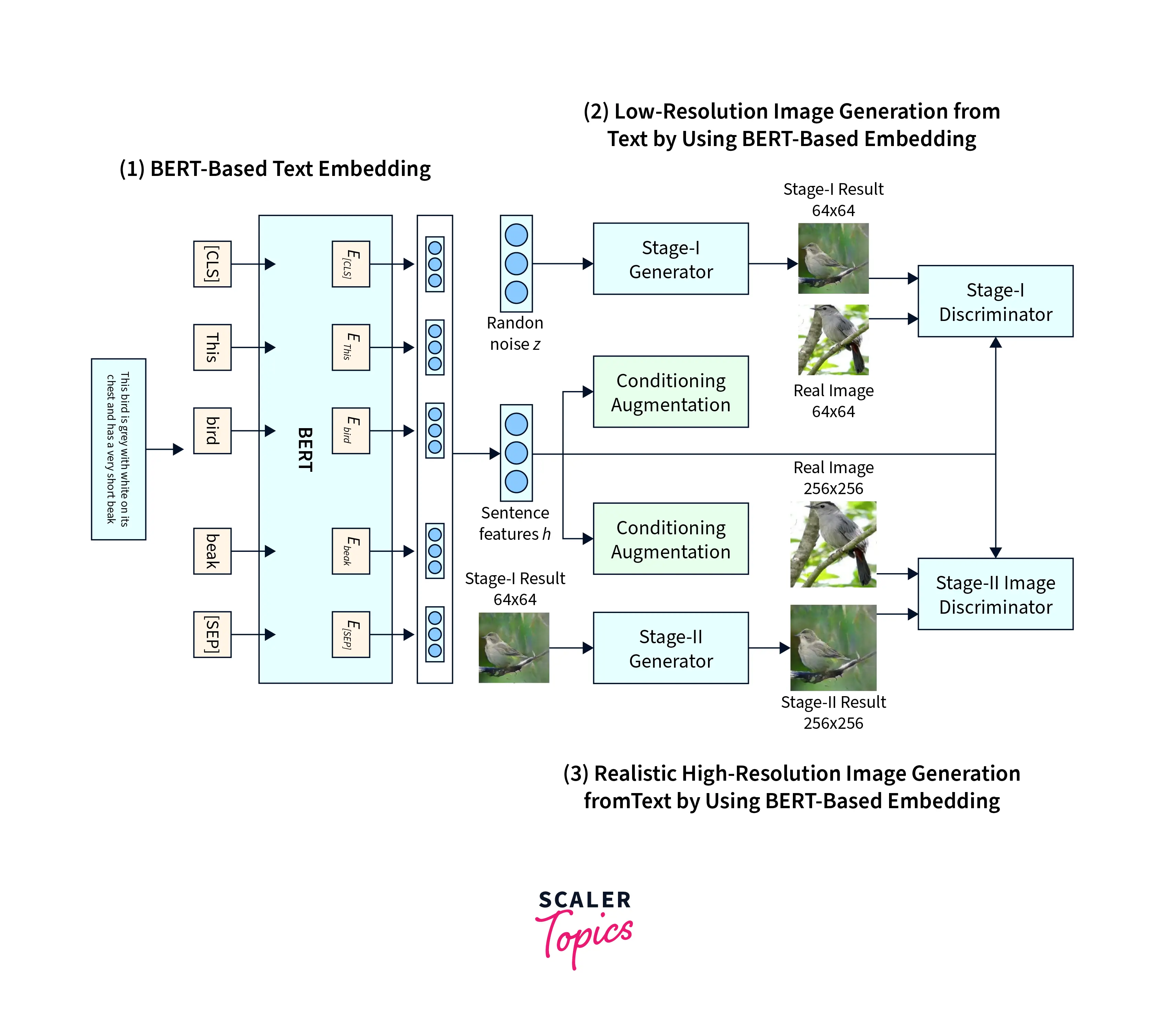 Embedding Example