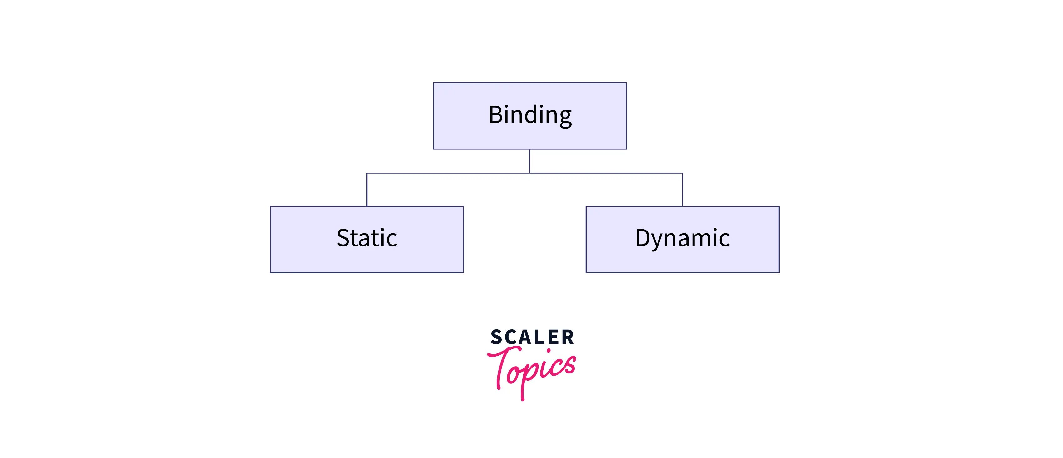 What is Stating and Dynamic Binding in C++