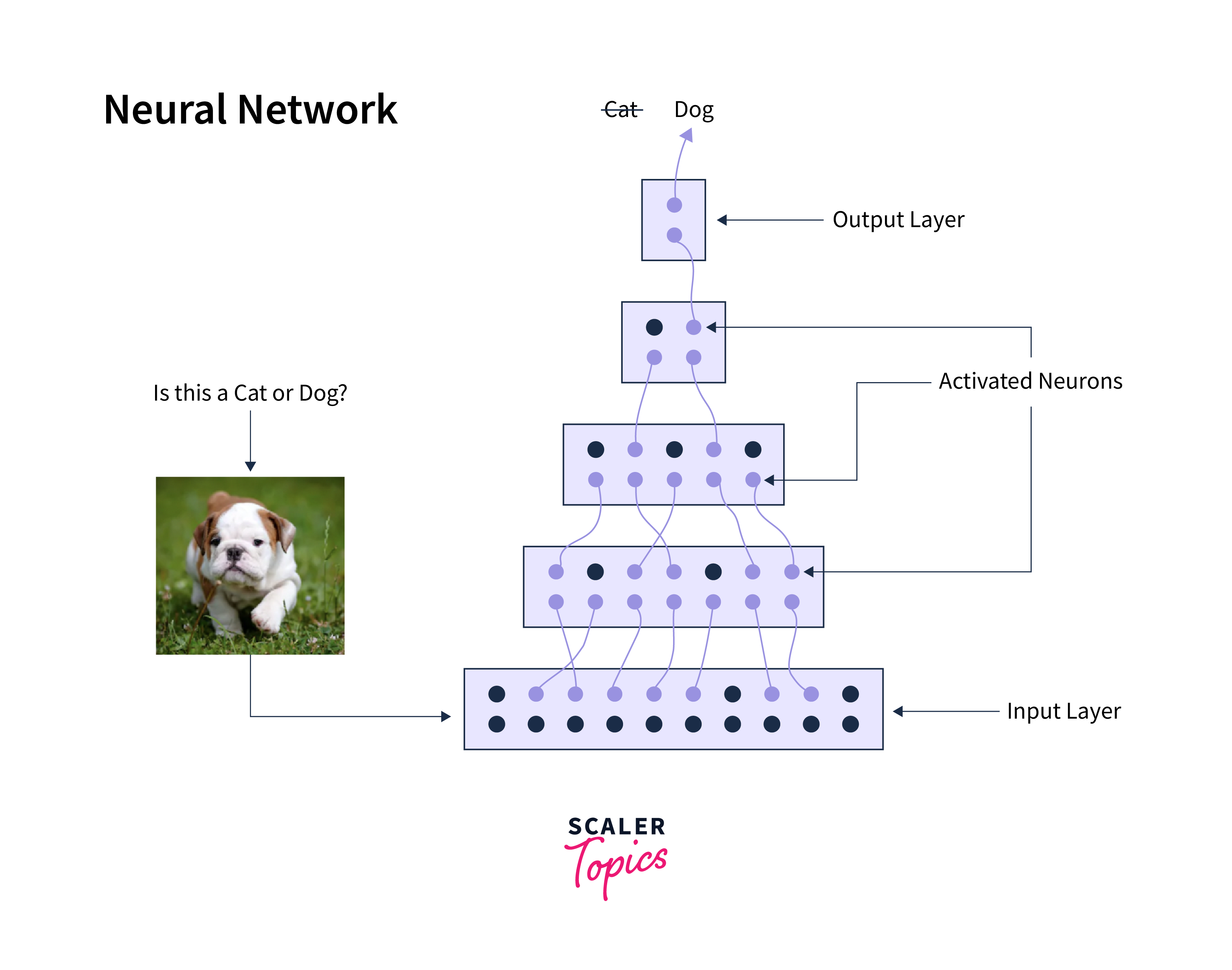 tensorflow neural network