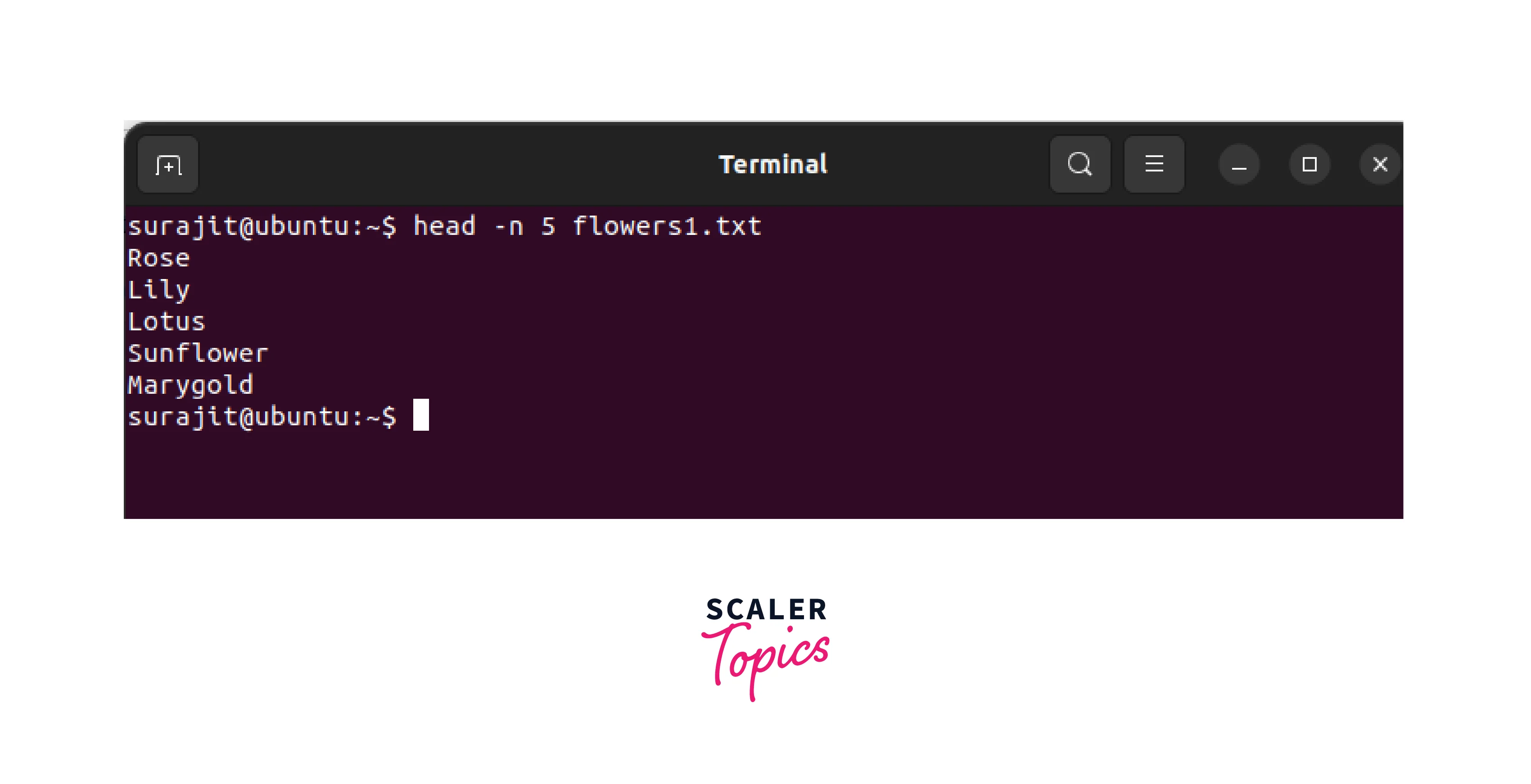 terminal after default head command with option n