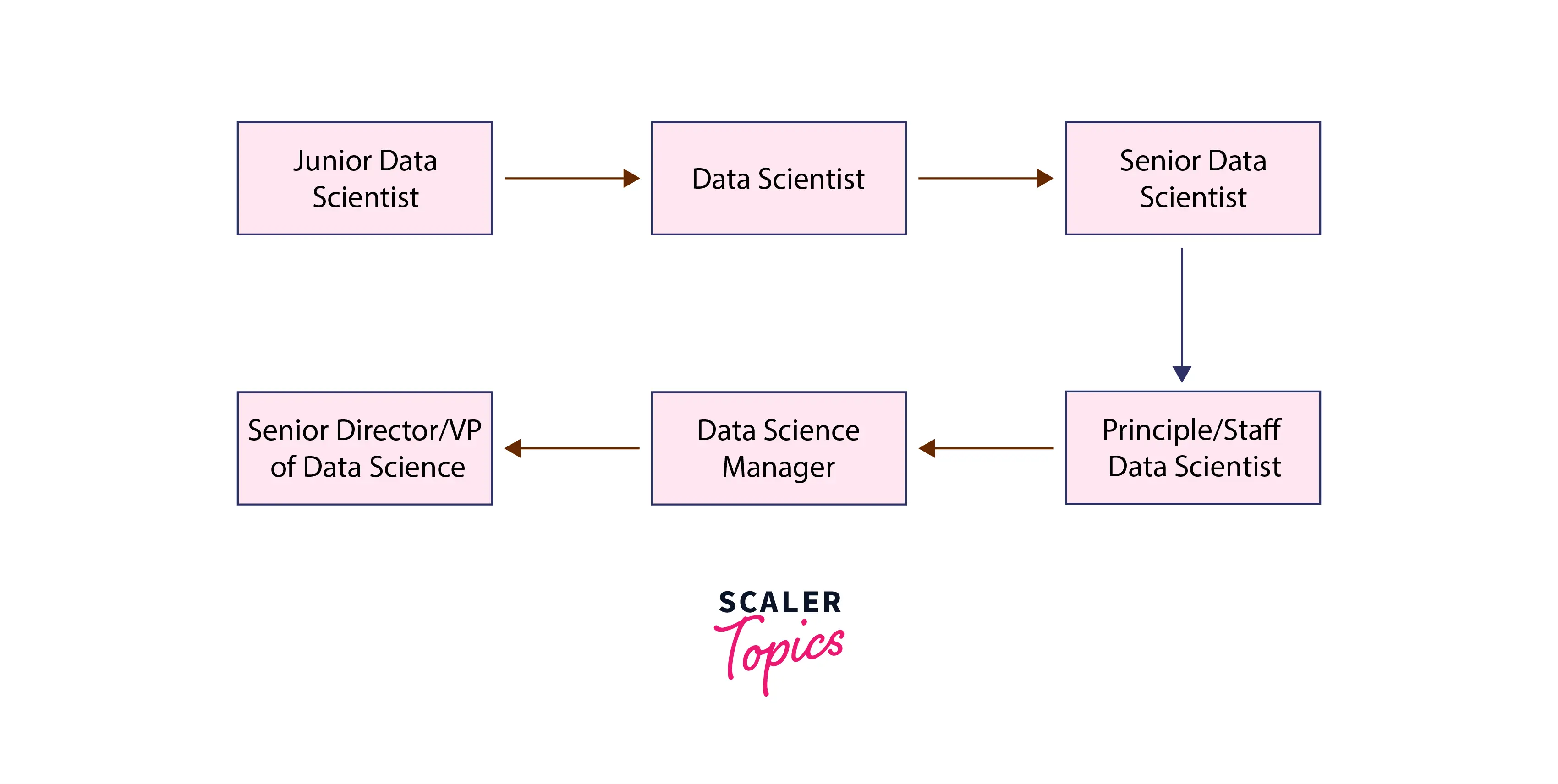 the-data-scientist-career-path