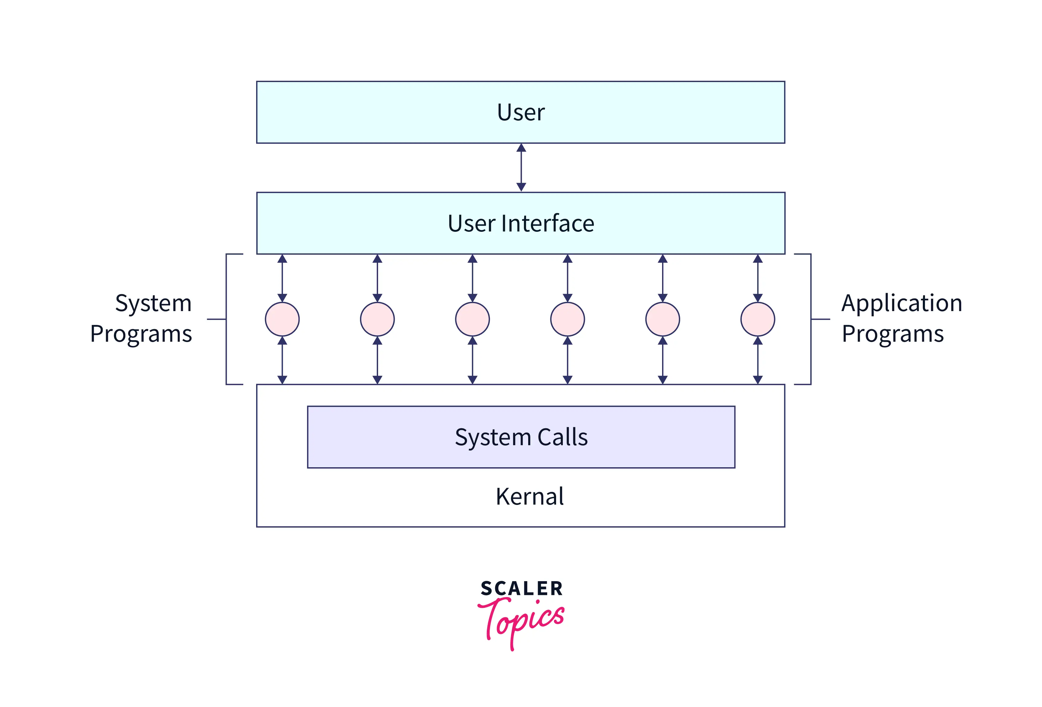 the role system programs