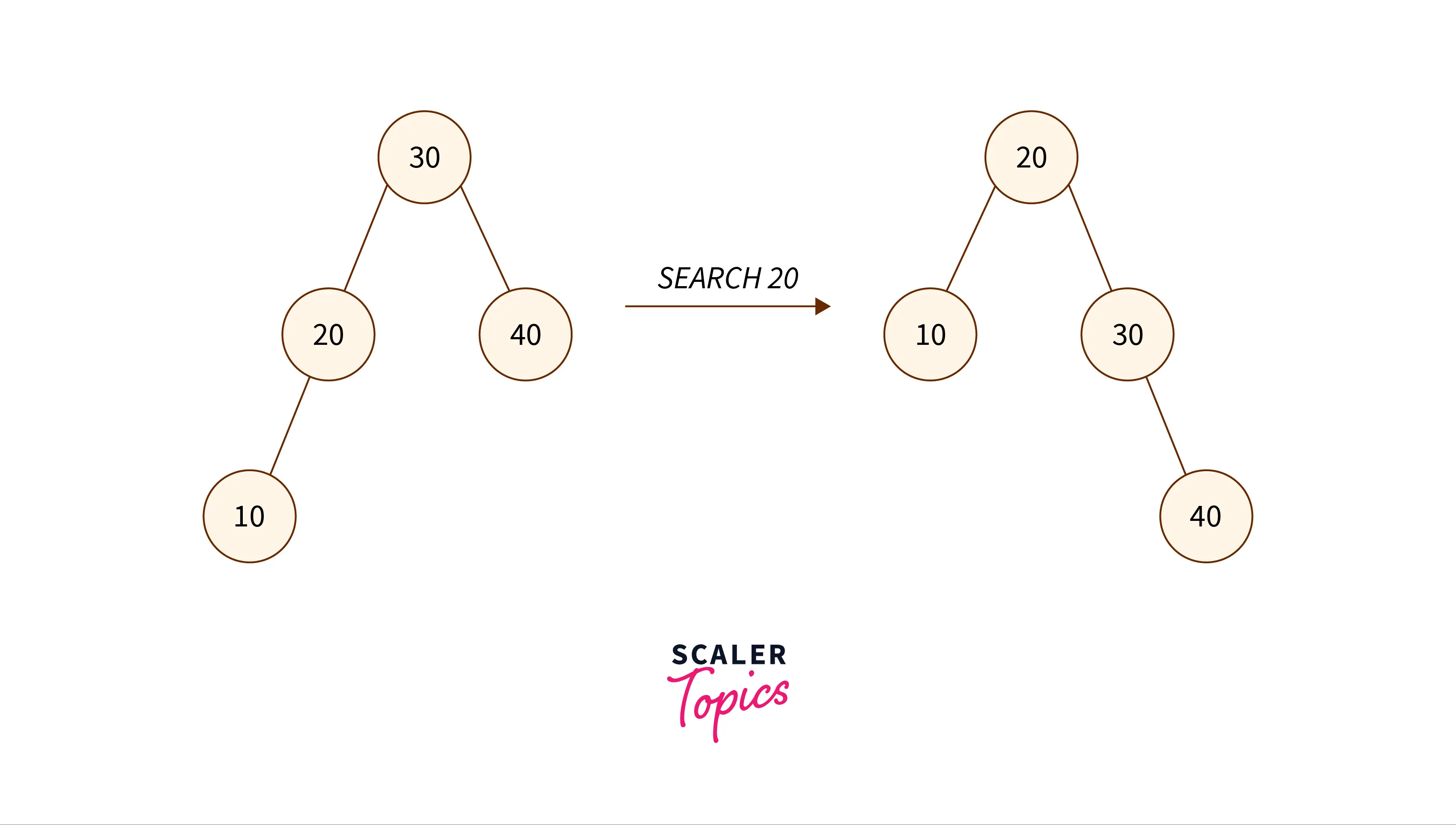 The Splay Tree