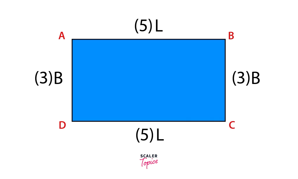 How To Find The Area of a Rectangle