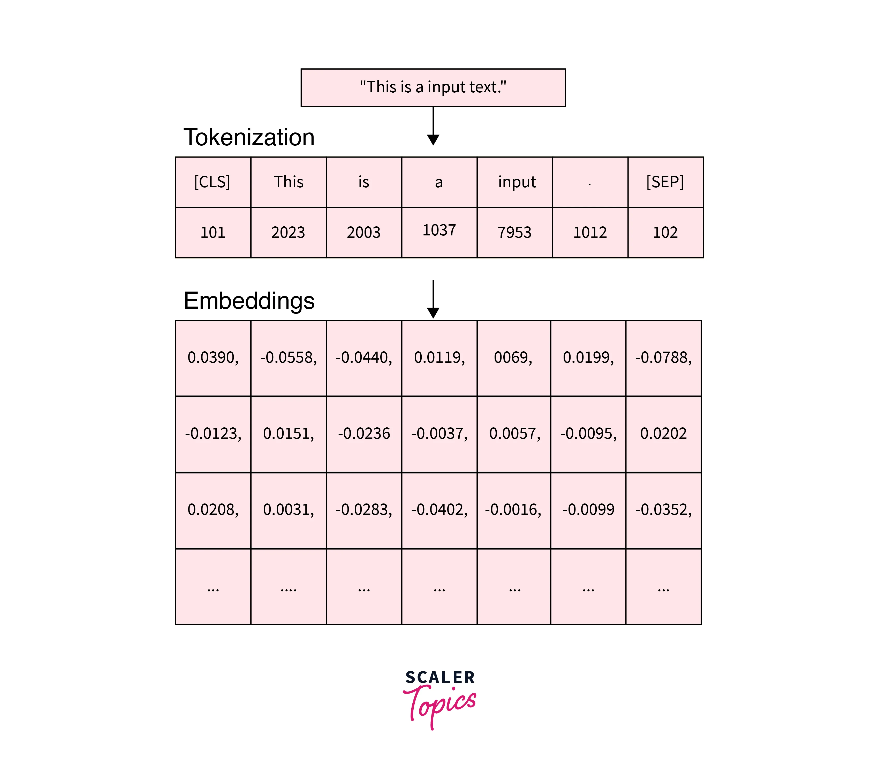 Tokenization and Word Embeddings