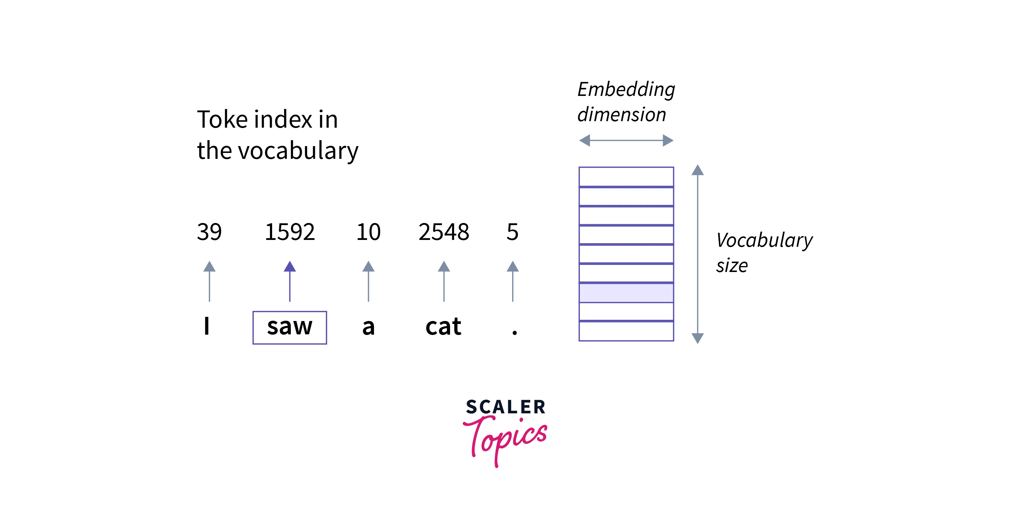 tokenizer to the captions