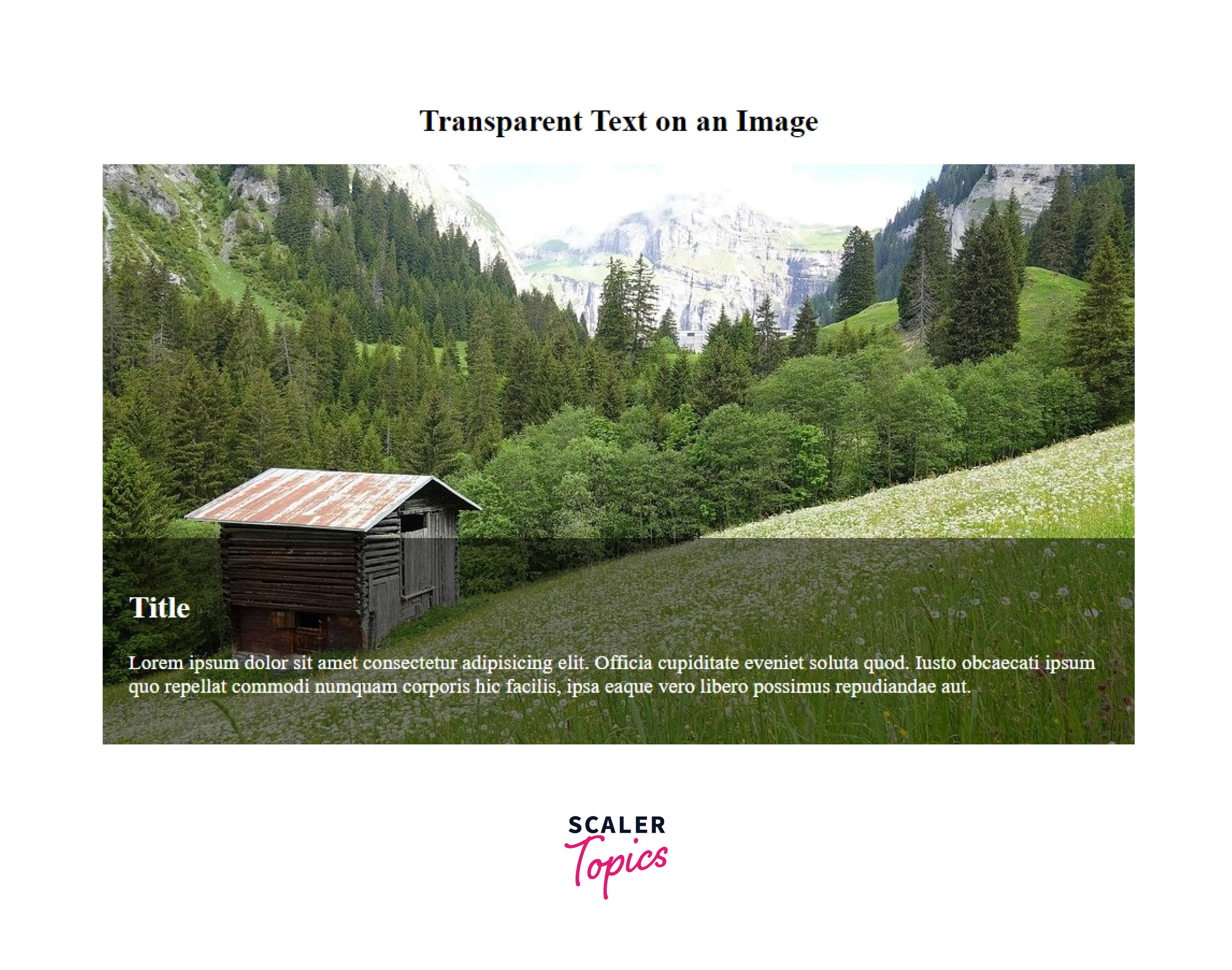 how-to-align-text-with-image-in-html-scaler-topics