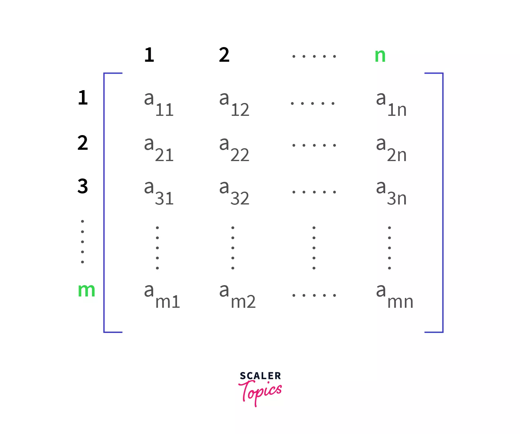 Transpose of a Matrix in Python Scaler Topics