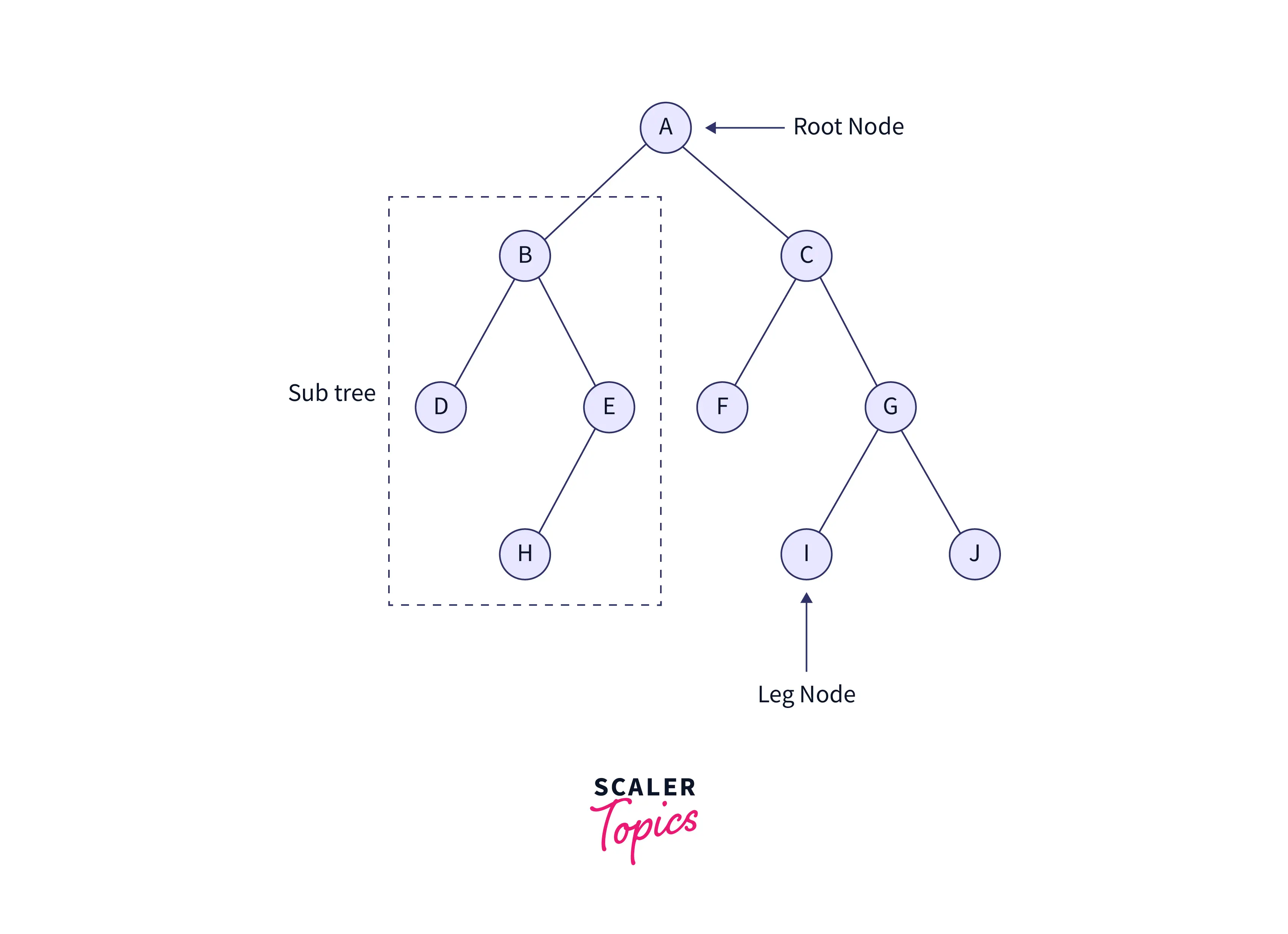 tree examples