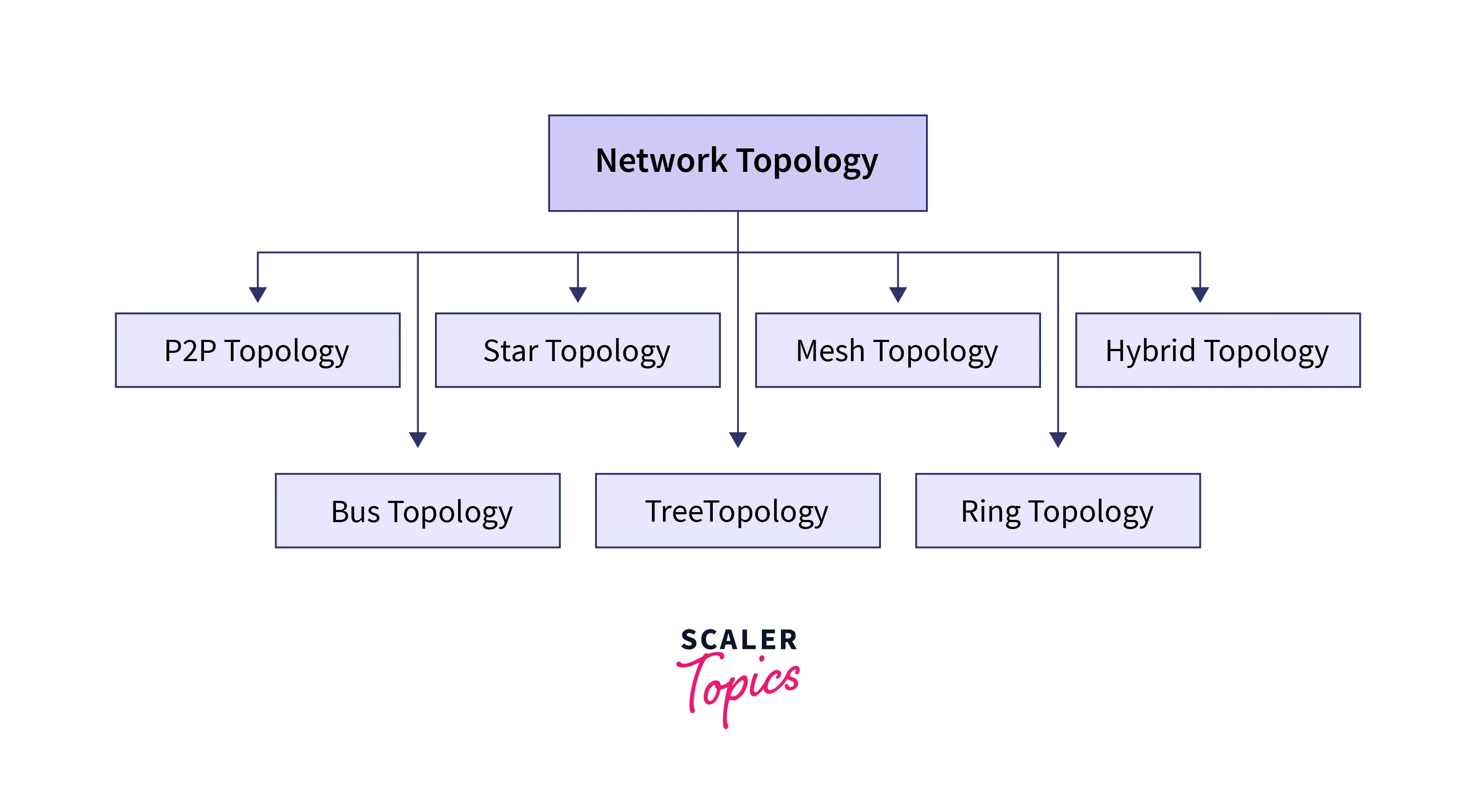 Types of Network Topologies