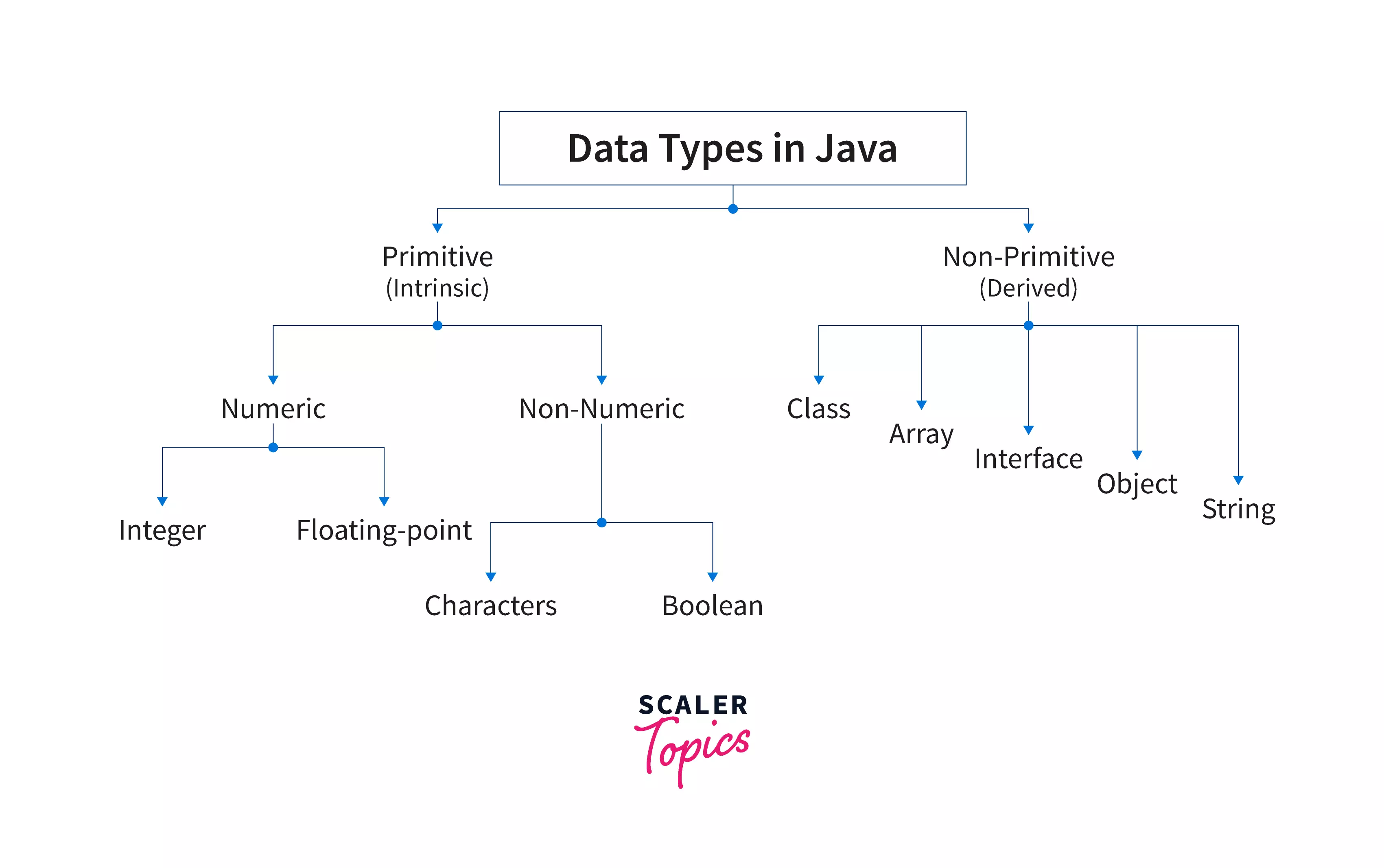 Types of Non-Primitive Data Types in Java