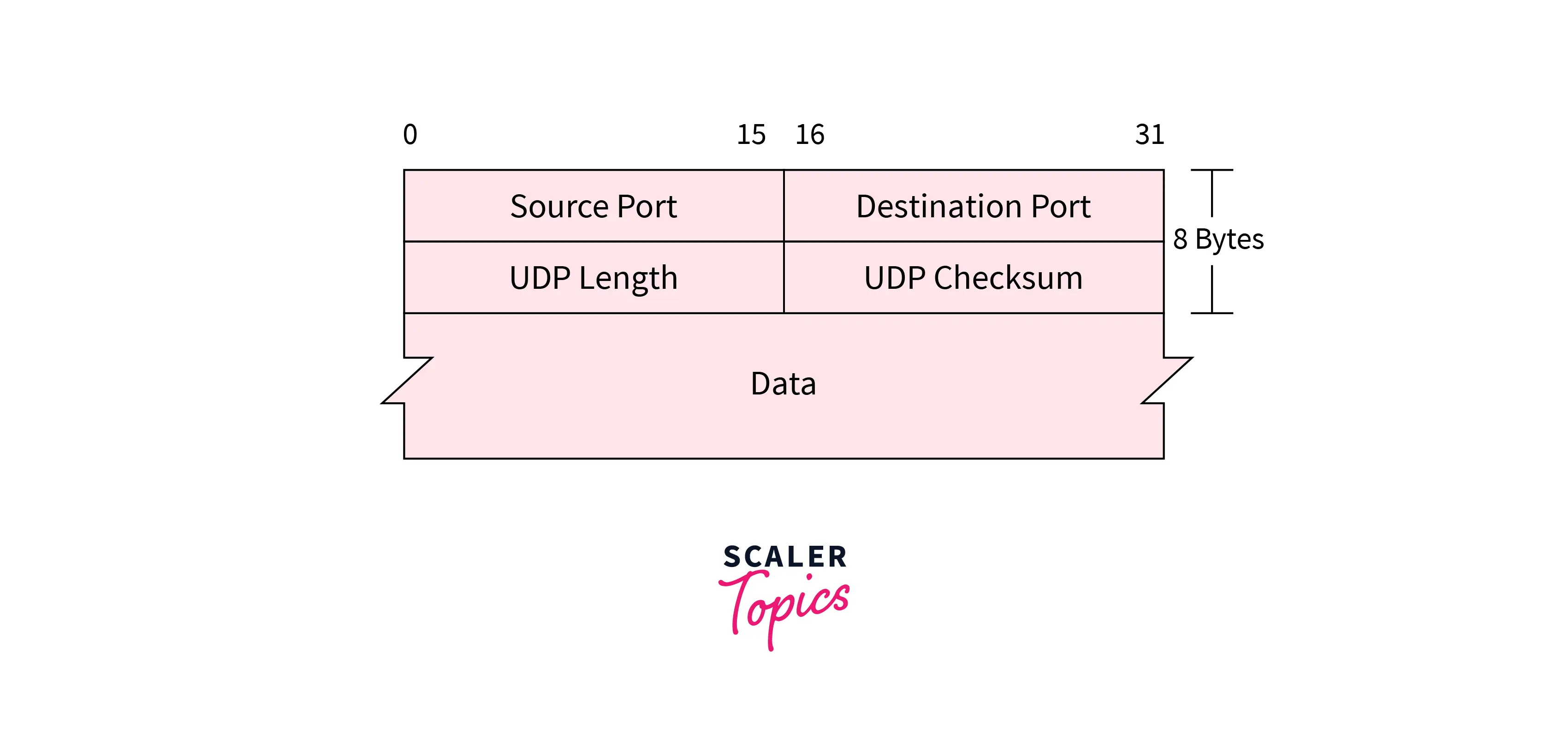 UDP Header