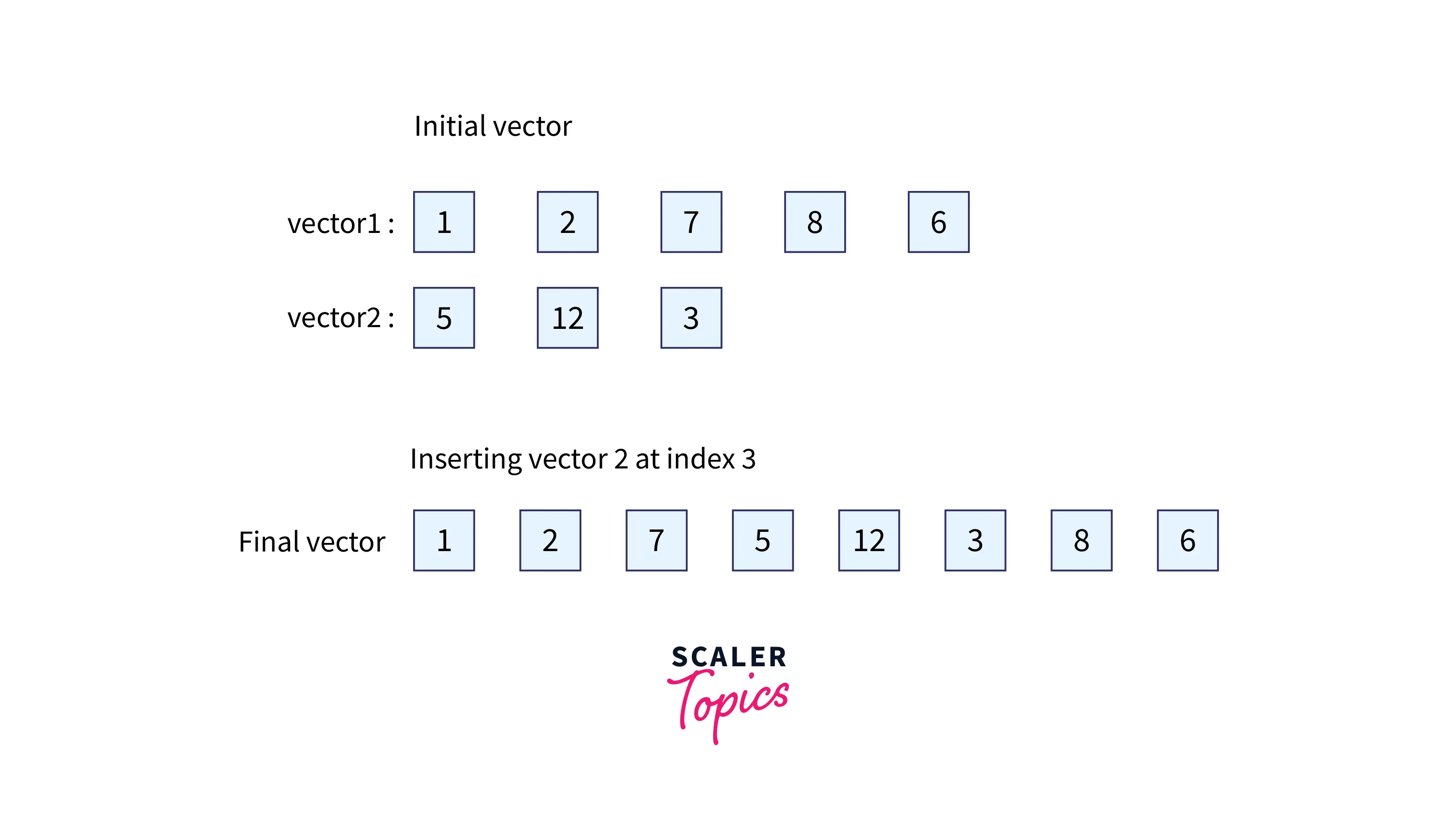 vector insert position