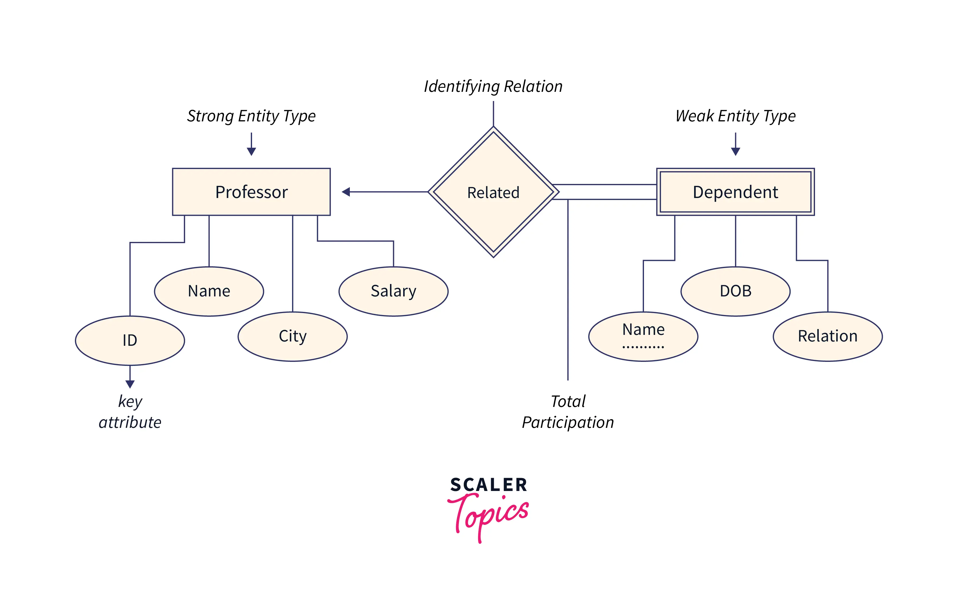 what-is-weak-entity-set-is-represented-as-scaler-topics