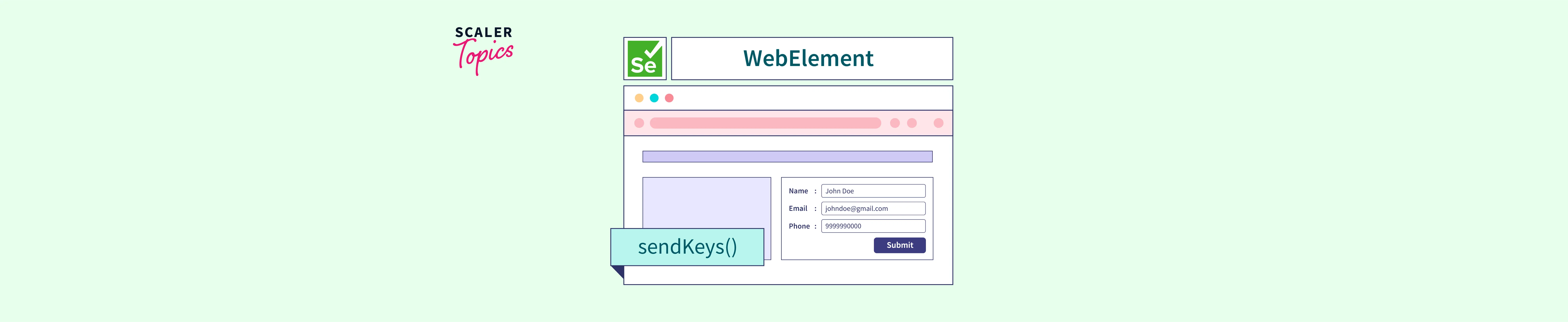 selenium-webelement-commands-scaler-topics