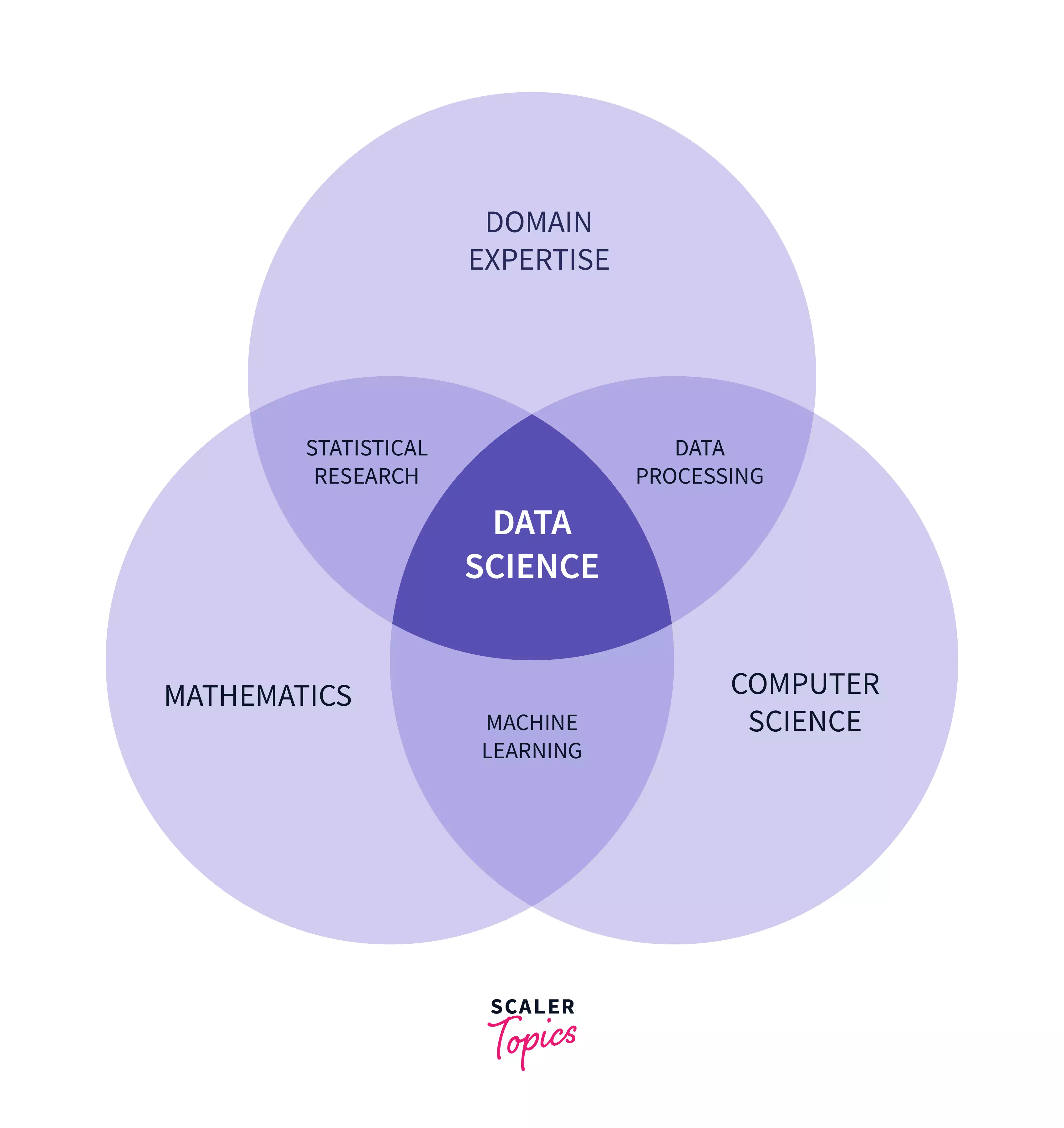 What Does a Data Scientist Do