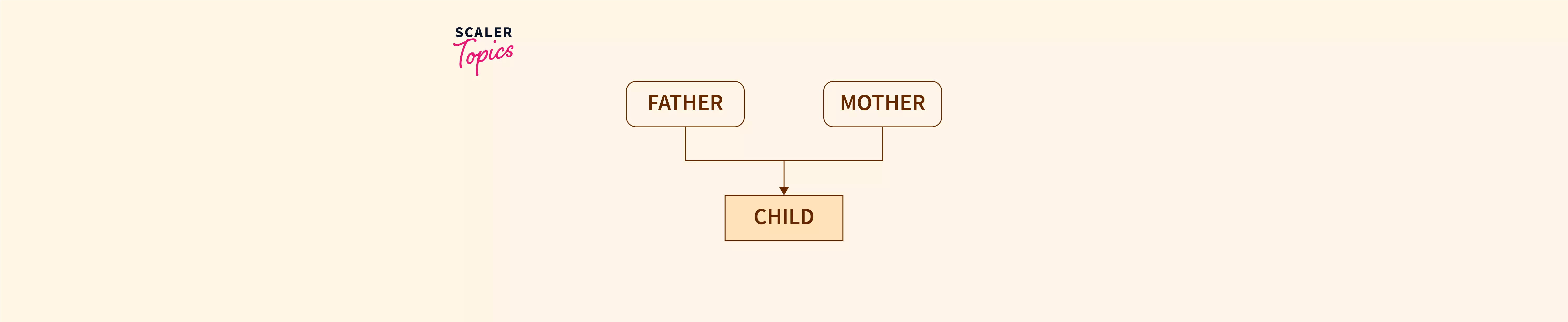 What Is Multiple Inheritance In Python Scaler Topics