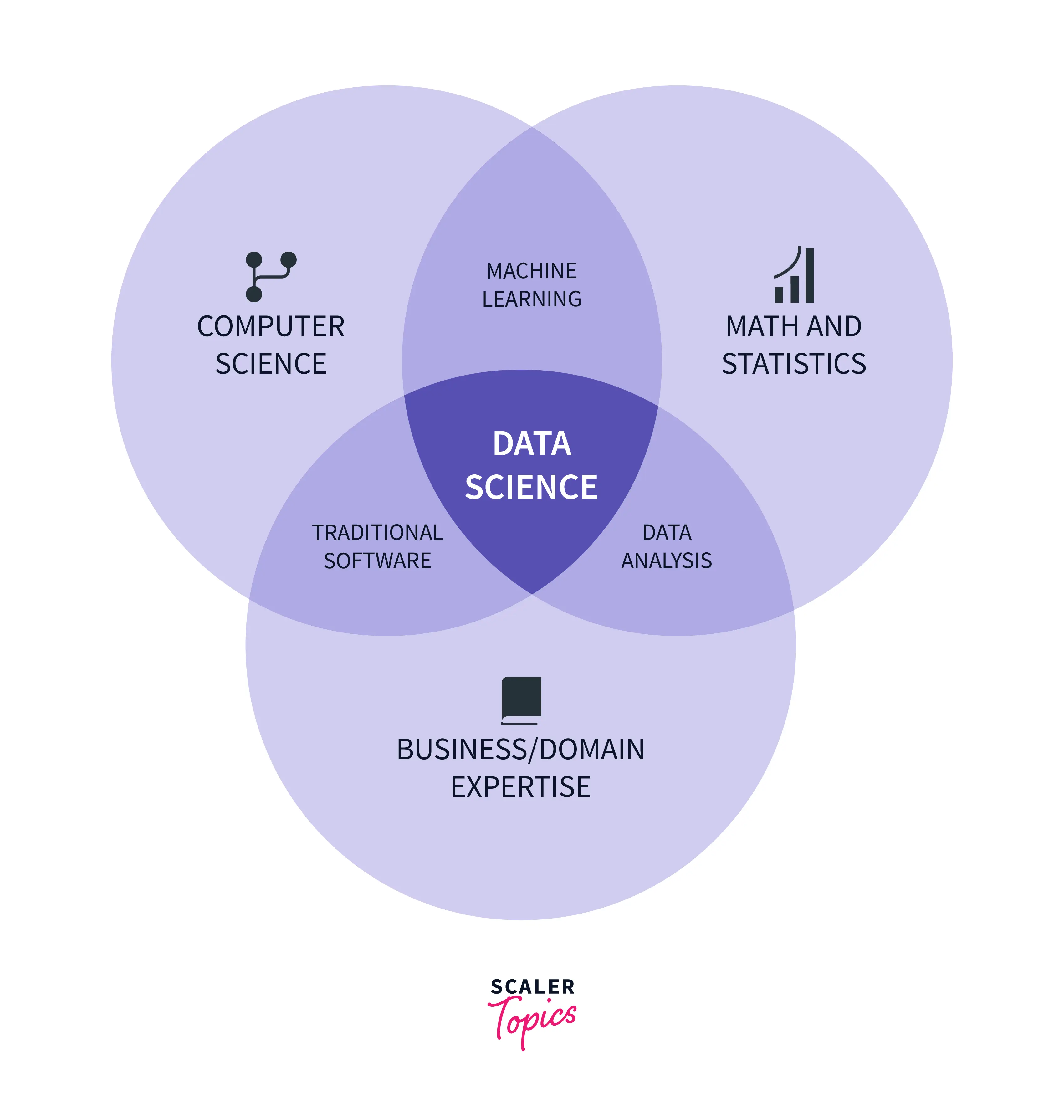 The Data Scientist Career Path - A Complete Guide