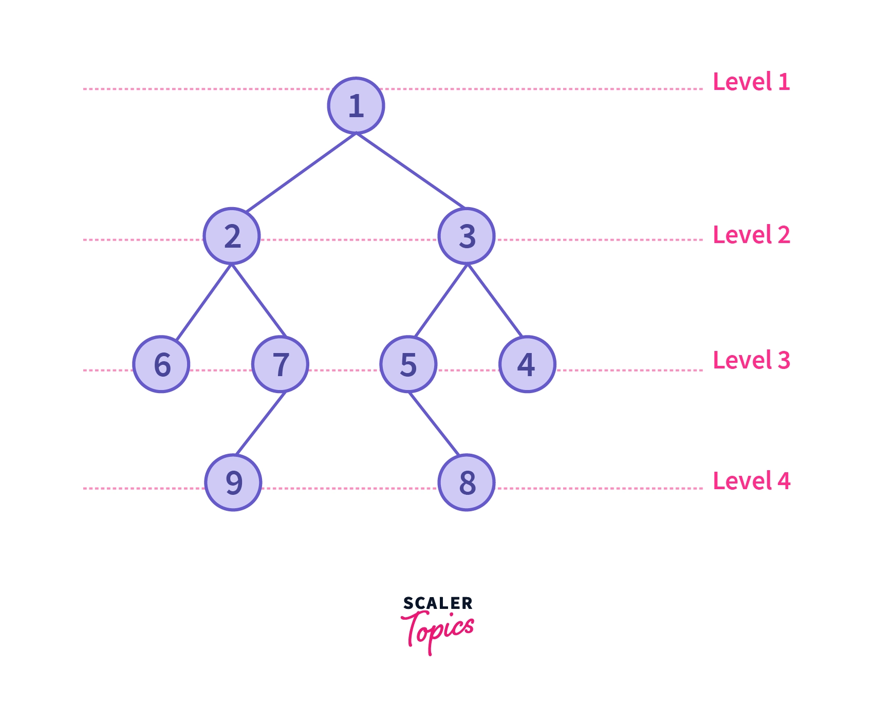 What is the Right View of Binary Tree