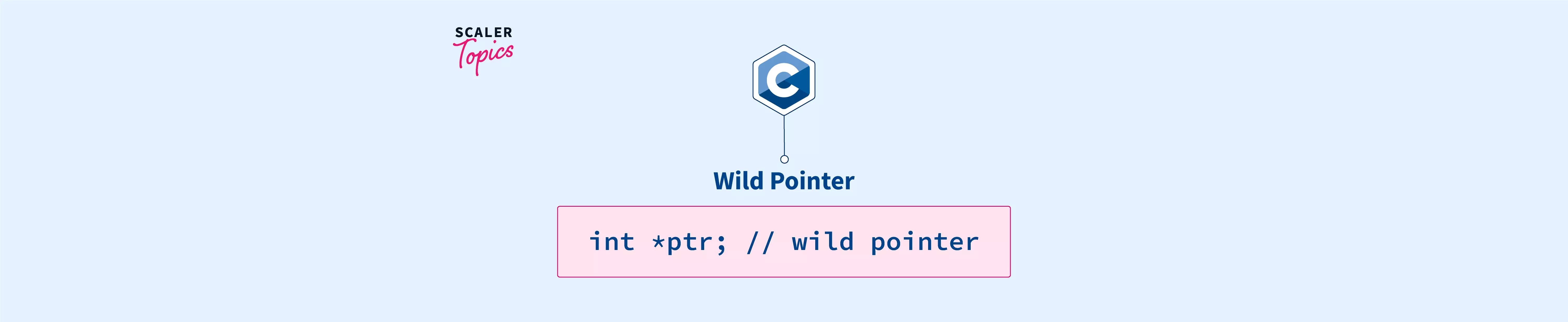 what-is-wild-pointer-in-c-scaler-topics