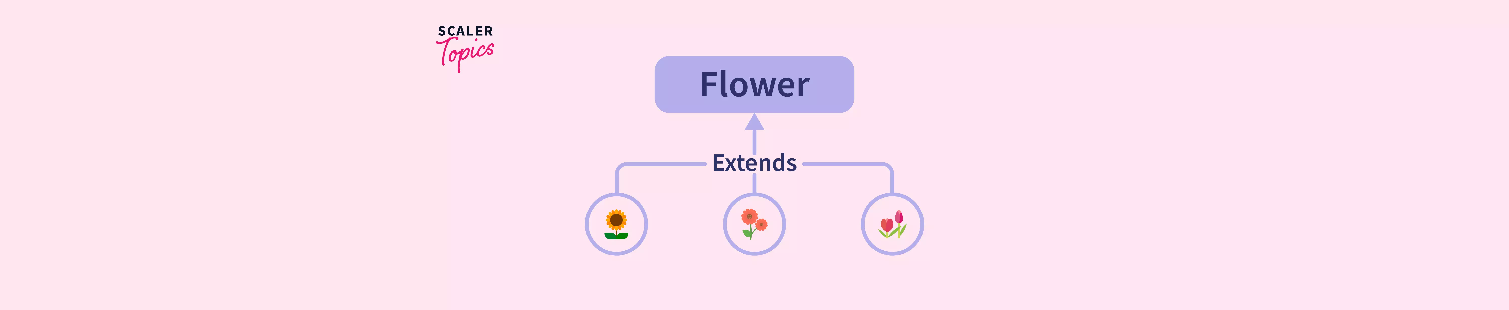 when-do-we-use-an-abstract-class-in-java-scaler-topics