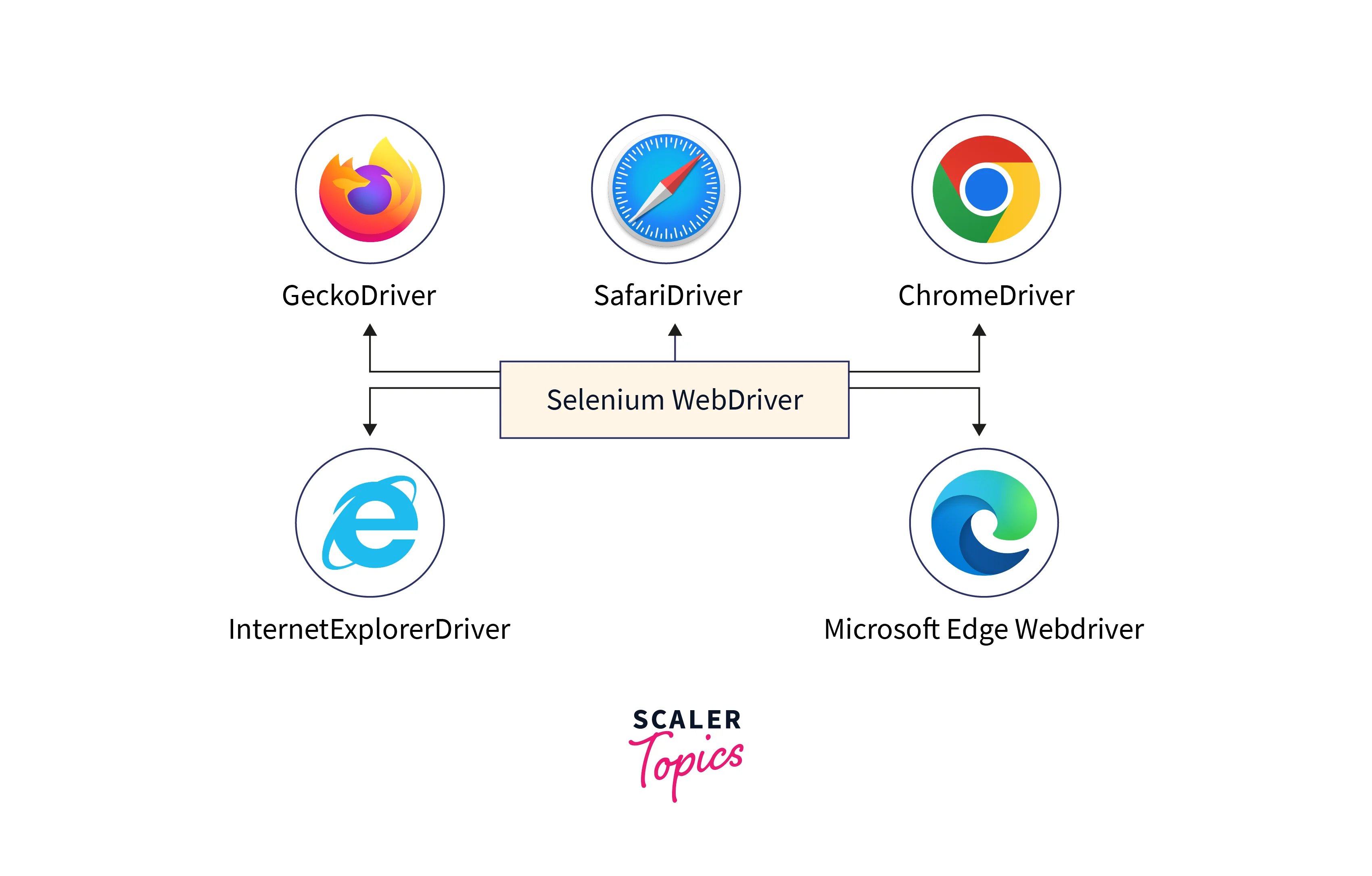 Which Browser Supports Selenium ? Scaler Topics