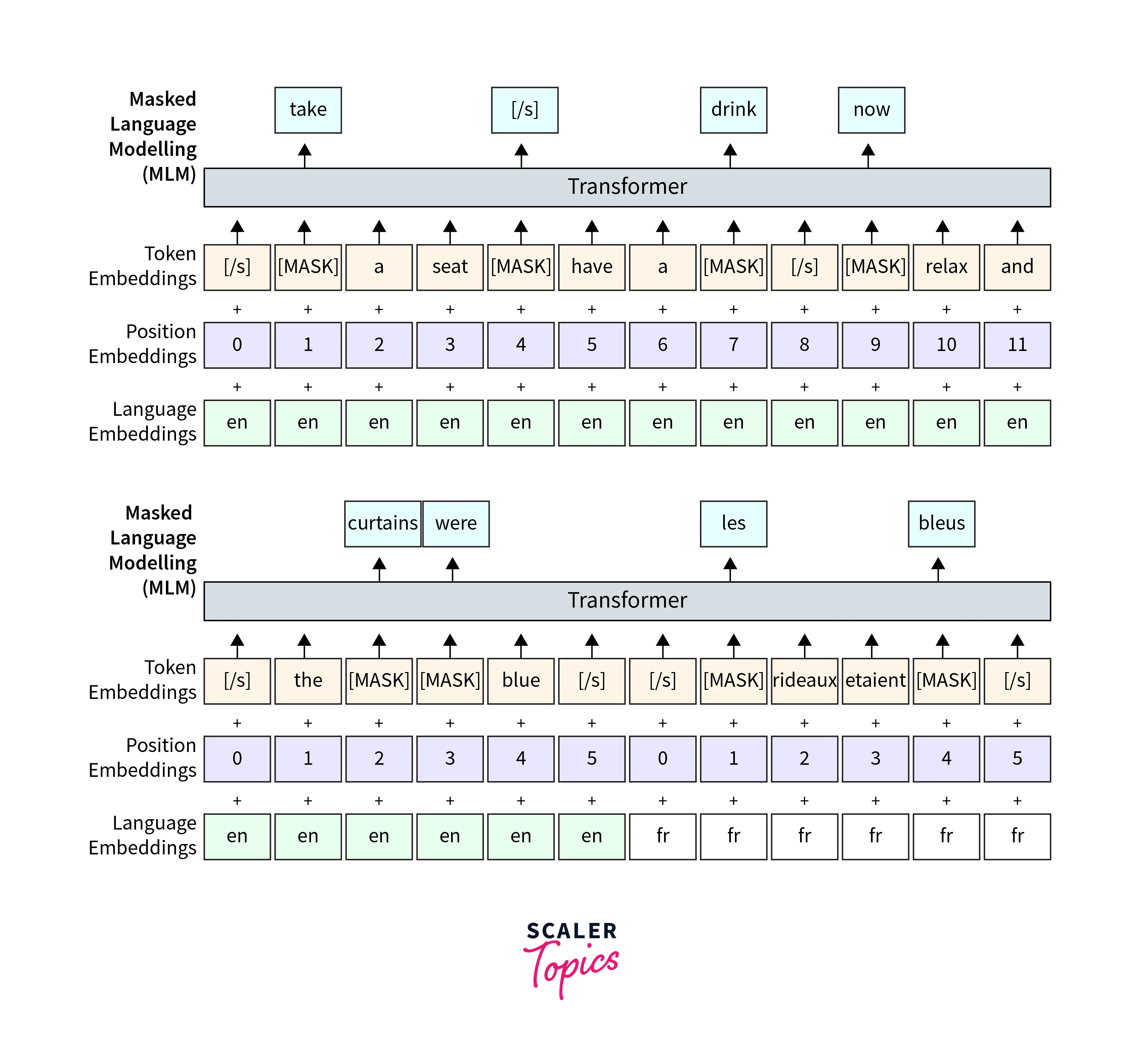 xlm-architecture.webp