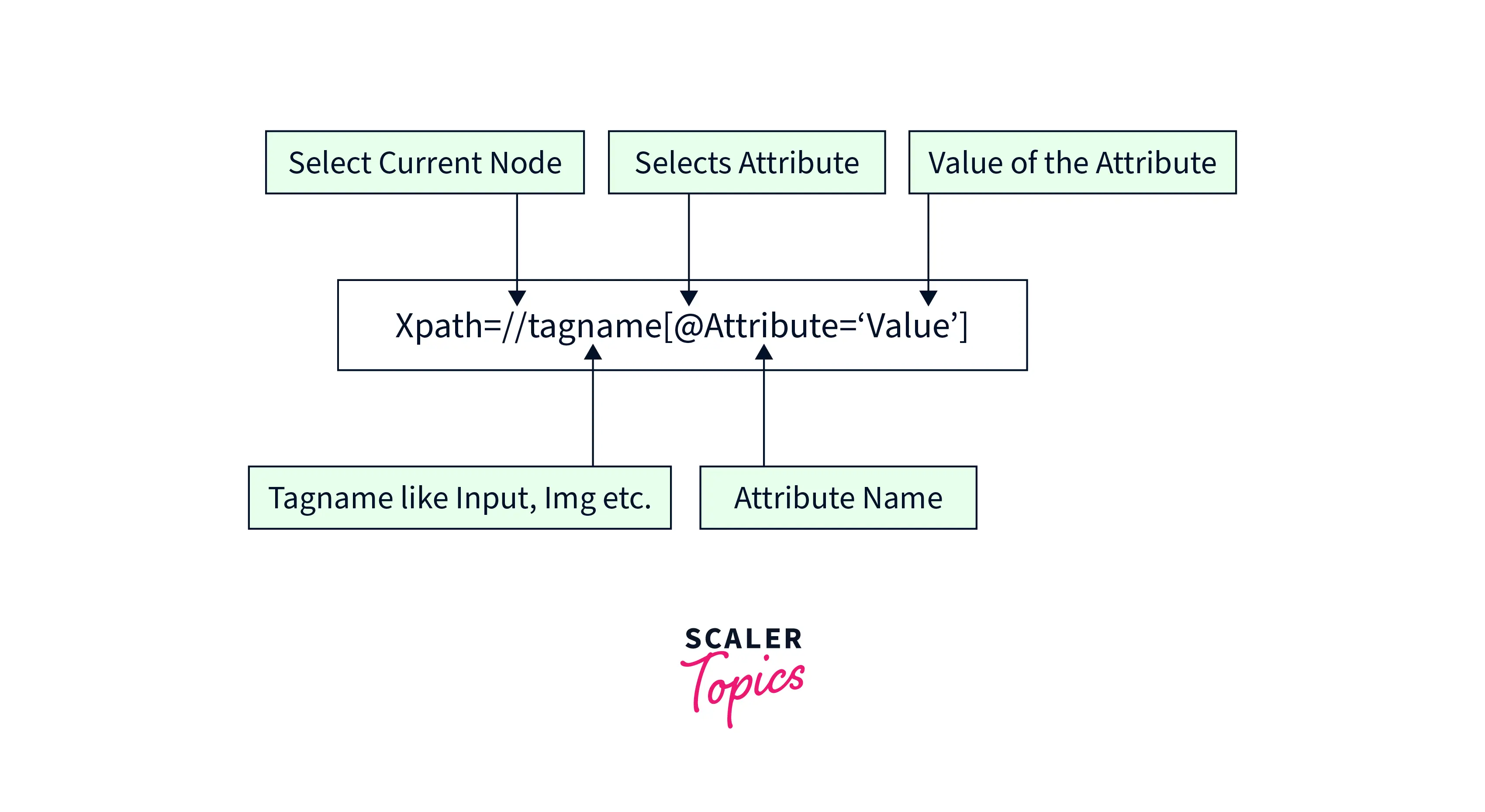 XPath Syntax