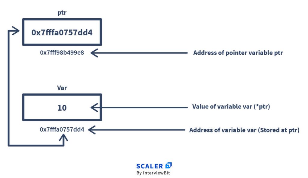 Pass by Value and Call by Reference in Java - Scaler Topics