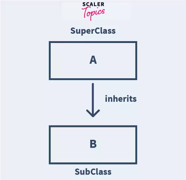 Introduction to inheritance in Java